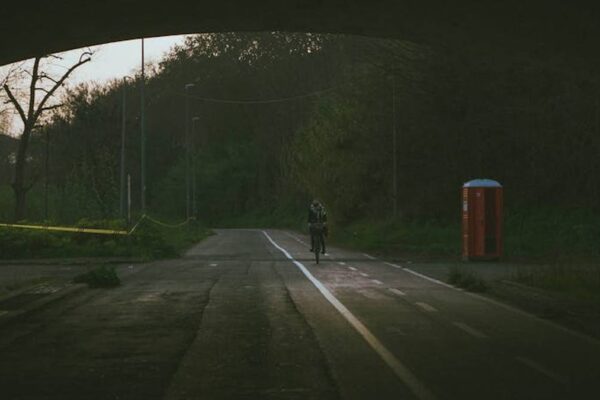 PottyGenius Interactive Trainer Review: Can This Potty *Really* Make Potty Training Easier for Parents? - Product Review