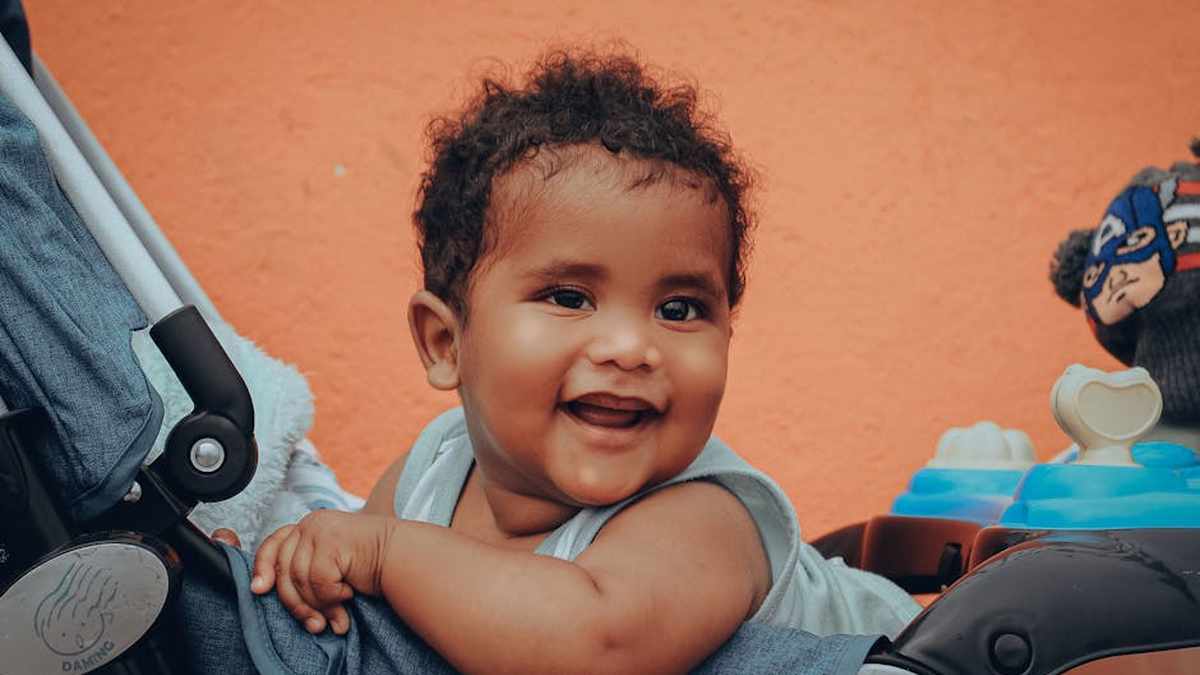 UPPAbaby Vista V2 Stroller Review: The Top-Rated Luxury Stroller For Growing US Families? - Product Review