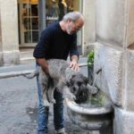 AquaFlow Smart Pet Water Fountain Review: The USA's Best Seller for Constant Canine Hydration - Product Review