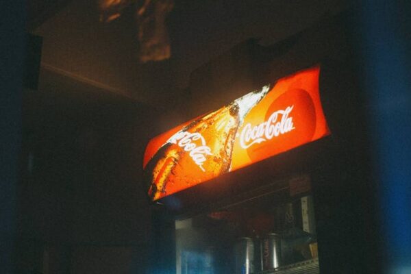 ArcticVault Pro 45 Cooler Review: Is This The Must-Have Adventure Cooler for Summer 2024 Road Trips? - Product Review