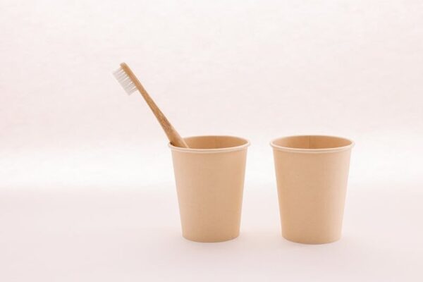 Bamboo Toothbrushes vs. Recycled Plastic Toothbrushes: Which Eco-Friendly Option is Best for Your US Bathroom? - Product Review