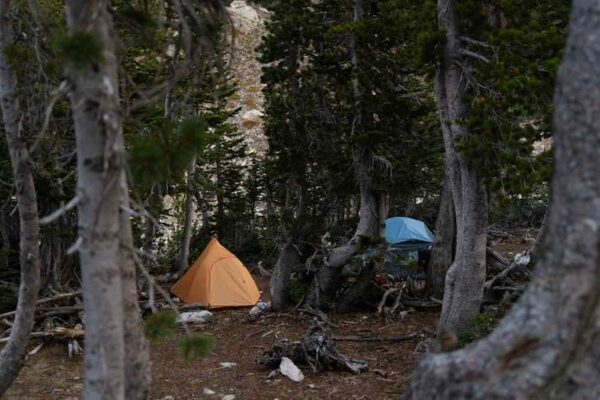 Best 6-Person Waterproof Family Camping Tents for USA National Parks (2026) - Product Review