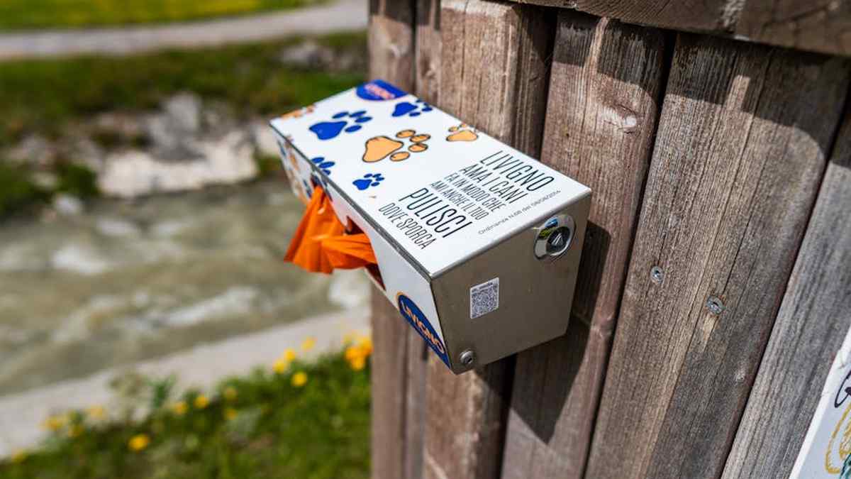 Best Biodegradable Dog Poop Bags for Eco-Conscious Pet Owners in USA (2026) - Product Review