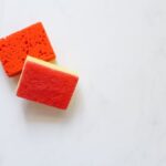 Best Compostable Kitchen Sponges in USA (2026) - Product Review