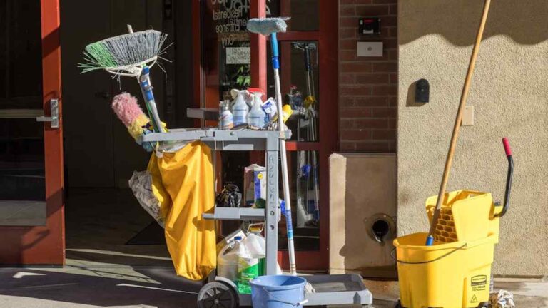 Best Cordless Steam Mops for Tile & Grout Cleaning in USA (2026) - Product Review