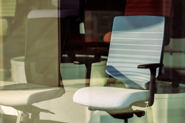 Best Ergonomic Lumbar Support Cushions for USA Office Chairs (2026) - Product Review