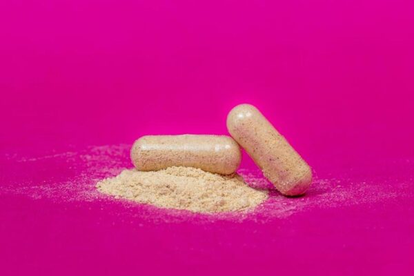 Best Essential Greens Powders for Daily Nutrient Support in USA (2026) - Product Review