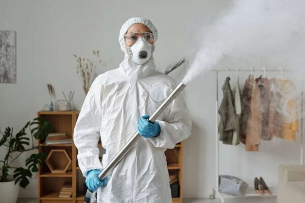 Best HEPA Car Air Purifiers in USA (2026) for Allergy Sufferers and Odor Elimination - Product Review