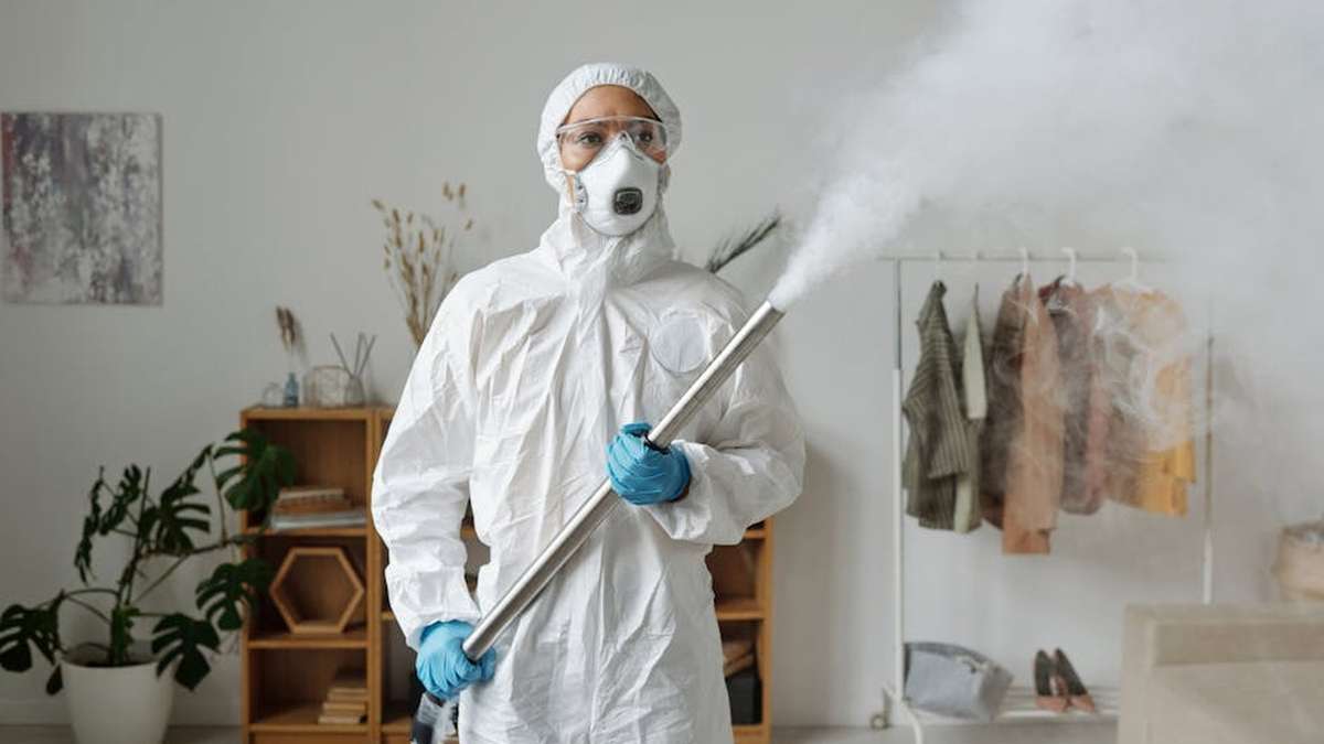 Best HEPA Car Air Purifiers in USA (2026) for Allergy Sufferers and Odor Elimination - Product Review