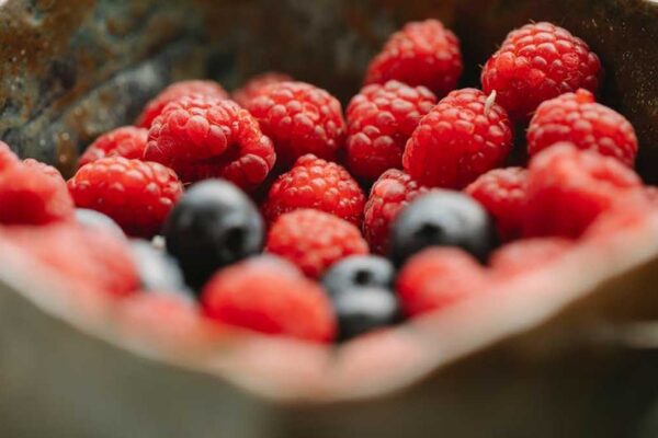 Best High-Protein Meal Delivery Services for Weight Loss USA (2026) - Product Review