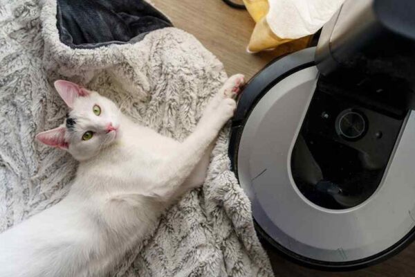 Best Professional Deshedding Vacuums for Dogs & Cats in USA (2026) - Product Review