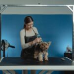 Best Quiet Professional Dog Grooming Clippers for Thick Coats in USA (2026) - Product Review