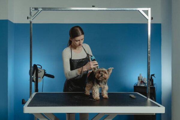 Best Quiet Professional Dog Grooming Clippers for Thick Coats in USA (2026) - Product Review