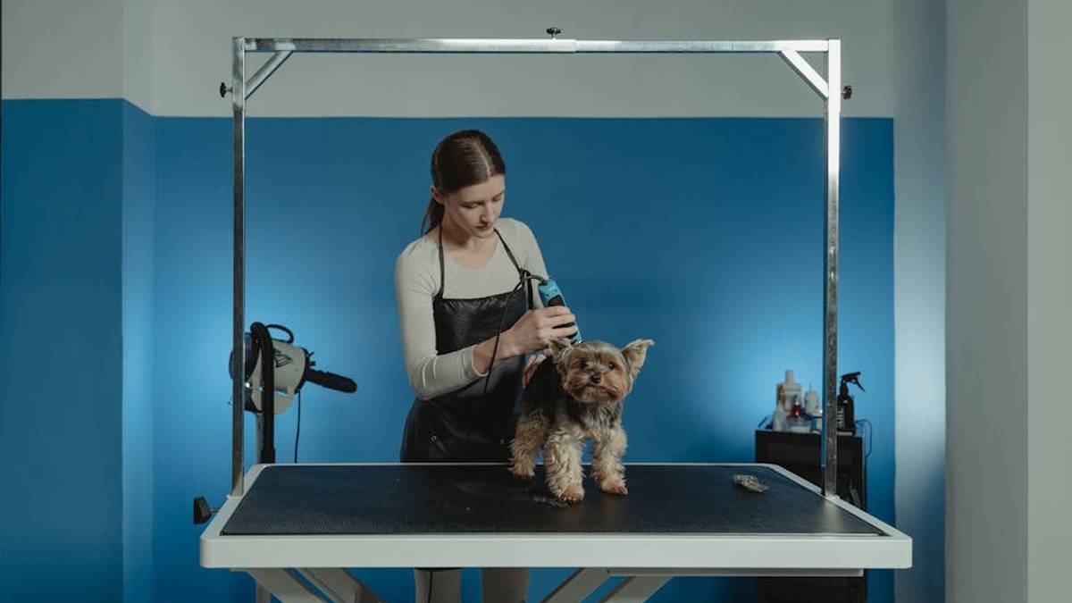 Best Quiet Professional Dog Grooming Clippers for Thick Coats in USA (2026) - Product Review