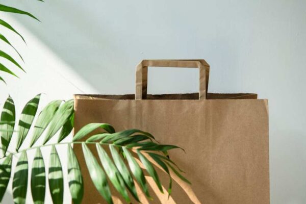 Best Reusable Paper Towels in USA (2026) - Product Review