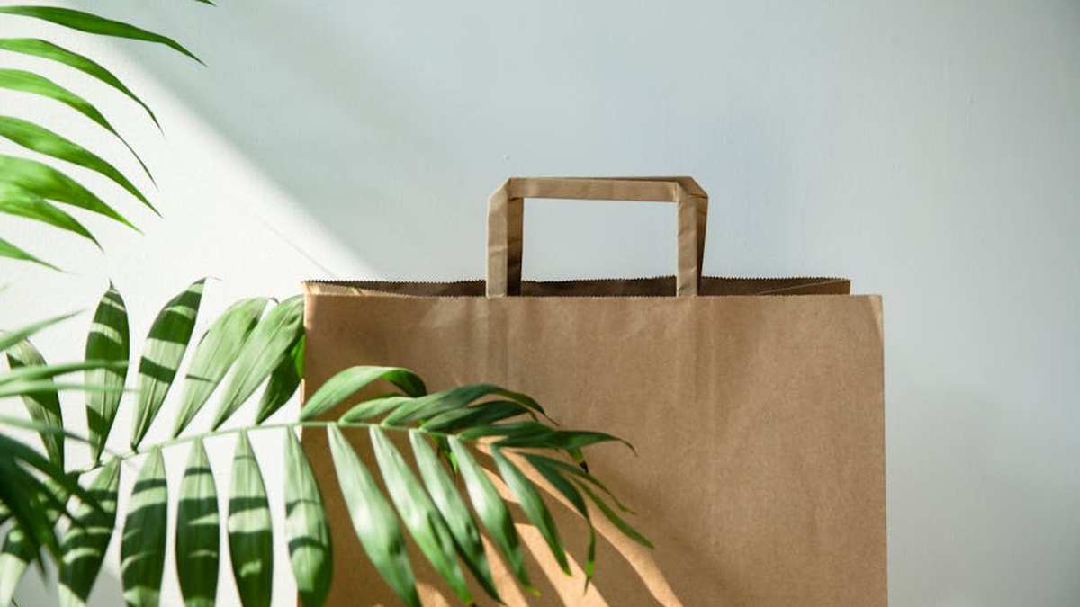 Best Reusable Paper Towels in USA (2026) - Product Review