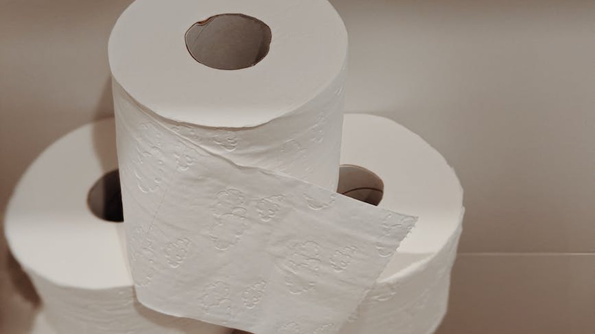 Best Smart Household Essentials for Daily Living in USA (2026) - Product Review