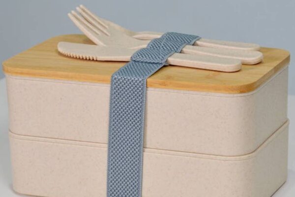 Best Stainless Steel Zero-Waste Lunch Containers for Work & School in USA (2026) - Product Review