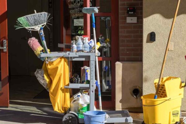 Bissell PowerFresh Deluxe Steam Mop Review: Does It *Really* Sanitize Hardwood Floors & Grout? - Product Review