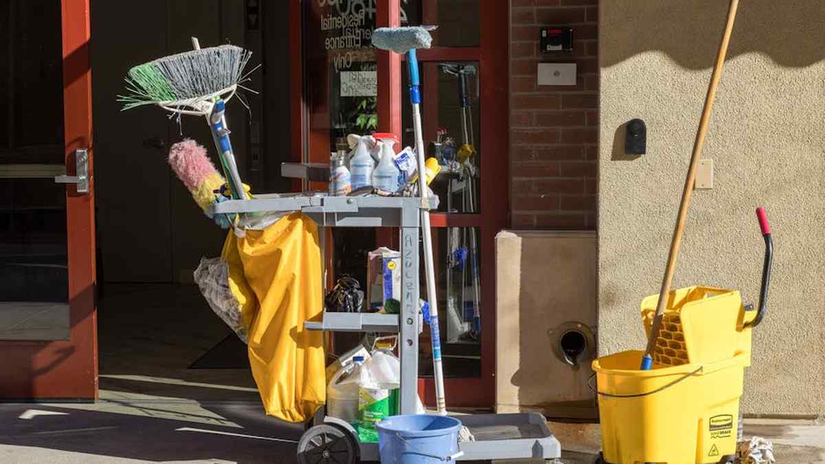 Bissell PowerFresh Deluxe Steam Mop Review: Does It *Really* Sanitize Hardwood Floors & Grout? - Product Review