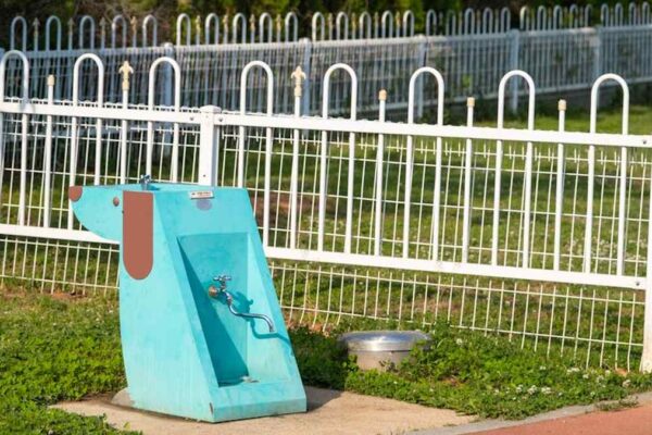 Catit Flower Fountain Review: The Quietest & Cleanest Water Fountain for Hydrated USA Pets? - Product Review