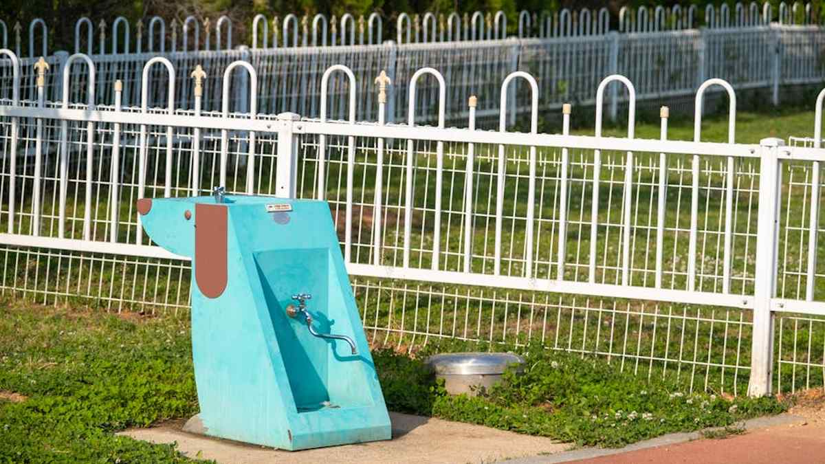 Catit Flower Fountain Review: The Quietest & Cleanest Water Fountain for Hydrated USA Pets? - Product Review