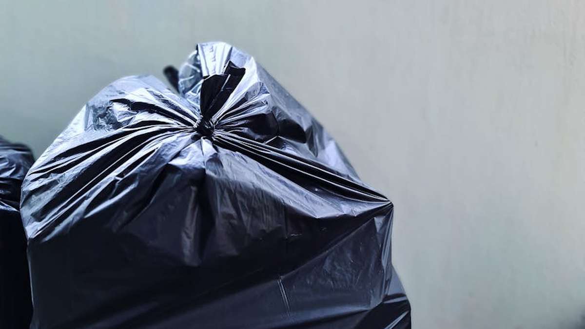 Compostable Trash Bags vs. Plant-Based Trash Bags: Your Guide to Sustainable Waste Management in the US - Product Review