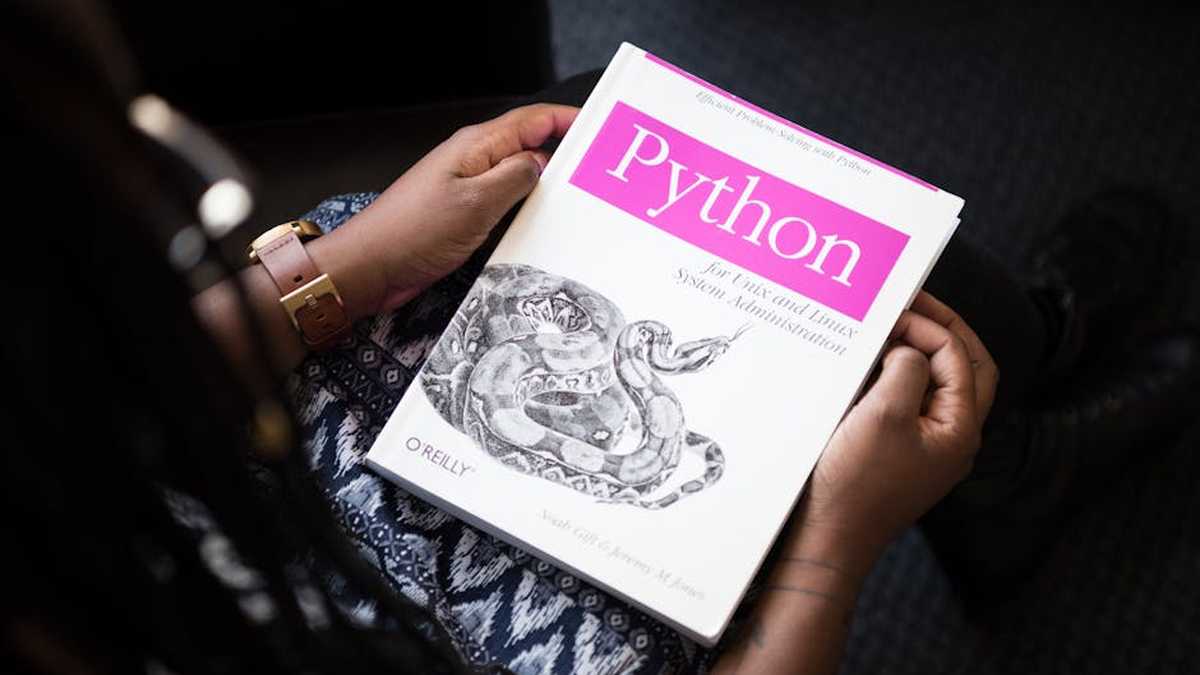 Deep Dive: "The Ultimate Python Crash Course" - Why It's This Summer's Must-Have Skill Book for Americans - Product Review