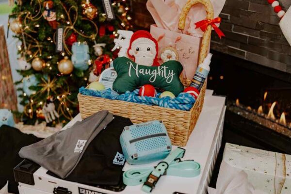 Dyson Airwrap vs. Shark FlexStyle: The Premium Hair Styler Gift Showdown for US Beauty Lovers - Product Review