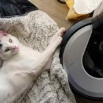 Dyson Animal: The Ultimate USA Vacuum Showdown for Pet Owners - Product Review