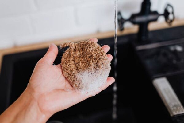 EcoRoots Compostable Sponge Review: The Best Plastic-Free Cleaning Tool for Your USA Kitchen Sink? - Product Review
