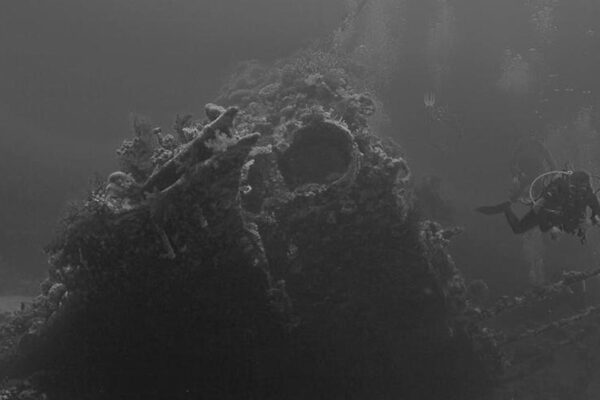 Elevate Your Style: A Deep Dive into Amazon's Viral Chunky White Sneakers - Product Review