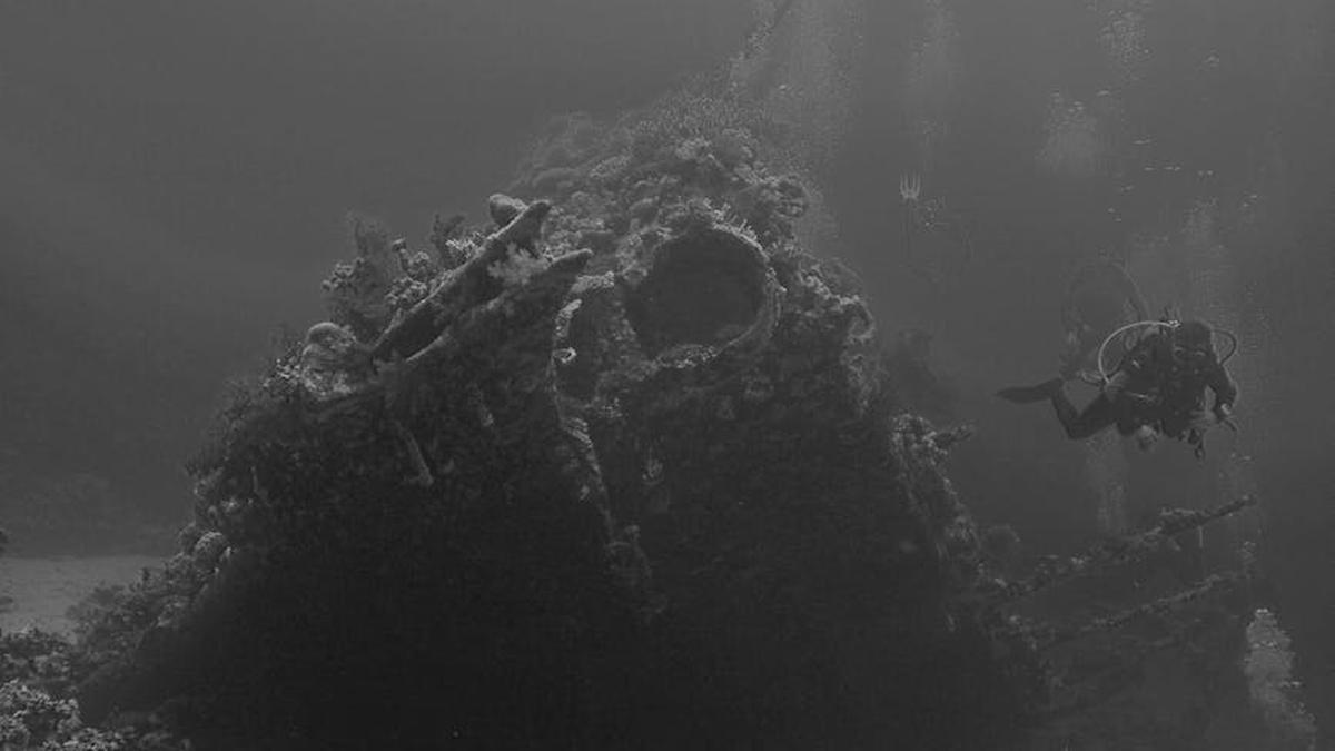 Elevate Your Style: A Deep Dive into Amazon's Viral Chunky White Sneakers - Product Review