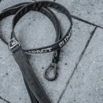 Emmi-pet Ultrasonic vs. PetSmile Sonic: Which Dog Toothbrush Eradicates Tartar & Bad Breath for USA Pets? - Product Review