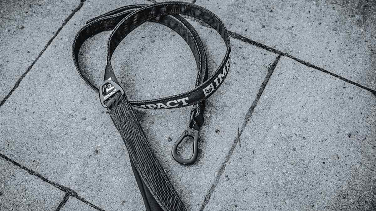 Emmi-pet Ultrasonic vs. PetSmile Sonic: Which Dog Toothbrush Eradicates Tartar & Bad Breath for USA Pets? - Product Review