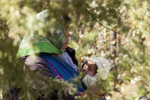 Ergobaby Omni 360 vs. Baby Tula Explore: Best Ergonomic Baby Carrier for All Stages? - Product Review