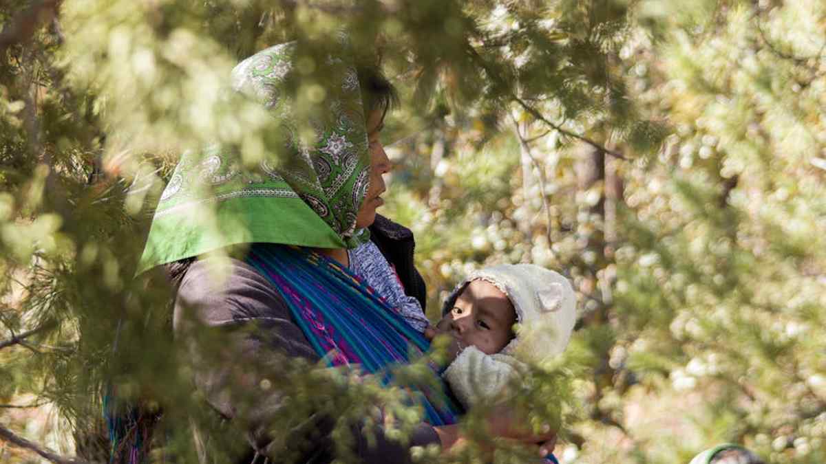 Ergobaby Omni 360 vs. Baby Tula Explore: Best Ergonomic Baby Carrier for All Stages? - Product Review