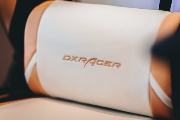 ErgoComfort Lumbar Pro Chair Review: Is This High-End Ergonomic Office Chair Worth It for USA Workstations? - Product Review