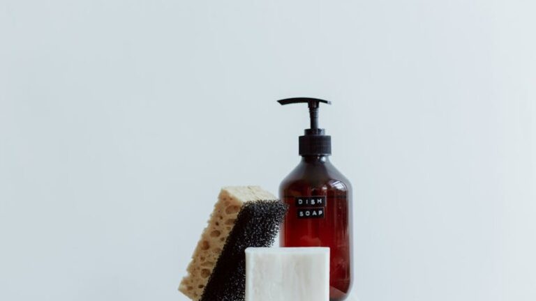 Ethique Dish Soap Bar vs. Blueland Dish Soap Tablets: Best Zero-Waste Dishwashing for Your US Kitchen?