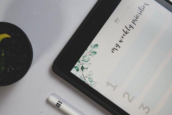 FlowState Digital Planner Pro Review: My Deep Dive Into the Top Digital System for US Professionals - Product Review