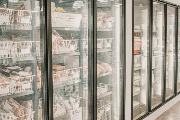 FoodSaver PowerVac Review: Say Goodbye To Freezer Burn & Save Hundreds on Groceries? - Product Review