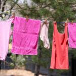 Friendsheep Wool Dryer Balls Review: Non-Toxic Laundry & Energy Savings for Your US Home - Product Review