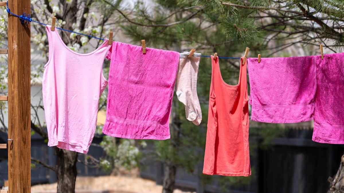 Friendsheep Wool Dryer Balls Review: Non-Toxic Laundry & Energy Savings for Your US Home - Product Review