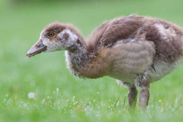 From Viral to Valuable: Top 8 Most Sold Lifestyle Gifts in USA (2026) - Product Review