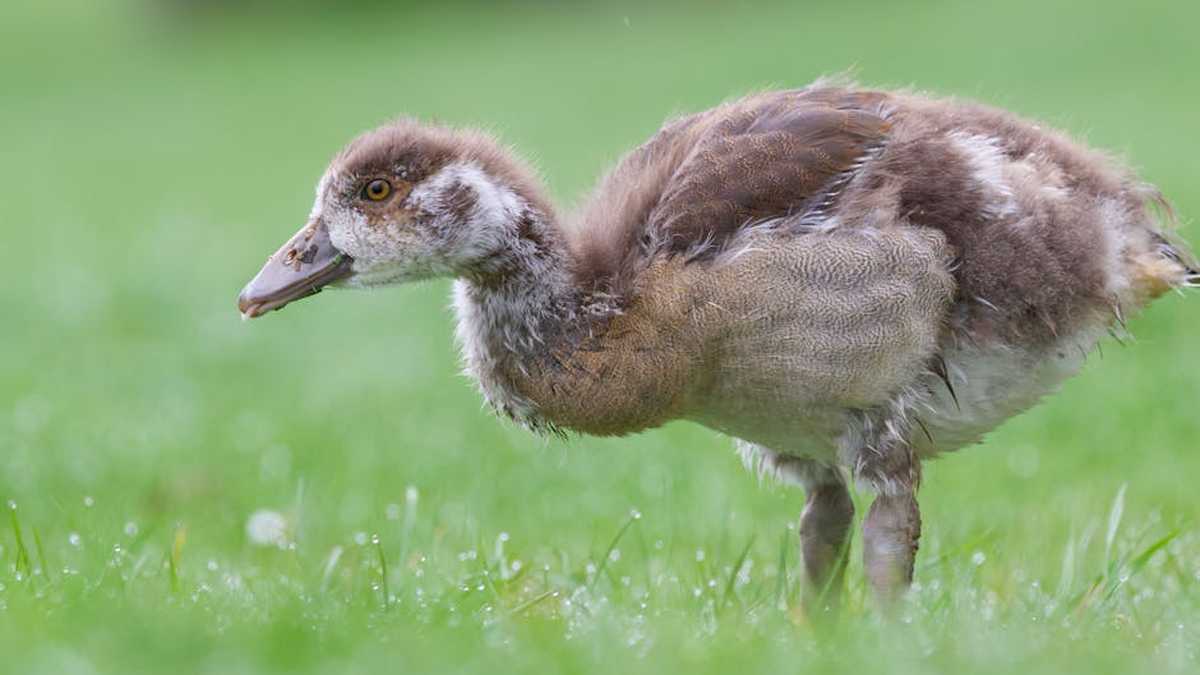 From Viral to Valuable: Top 8 Most Sold Lifestyle Gifts in USA (2026) - Product Review