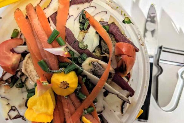 Full Circle Scrap Happy Countertop Compost Bin Review (USA): Easy Composting for American Kitchens - Product Review