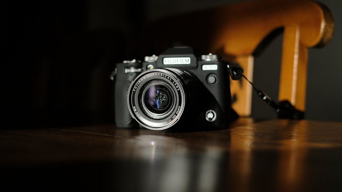 FURminator Deshedding Tool Review (USA): Why It's Still the #1 Choice for Dog & Cat Shedding - Product Review