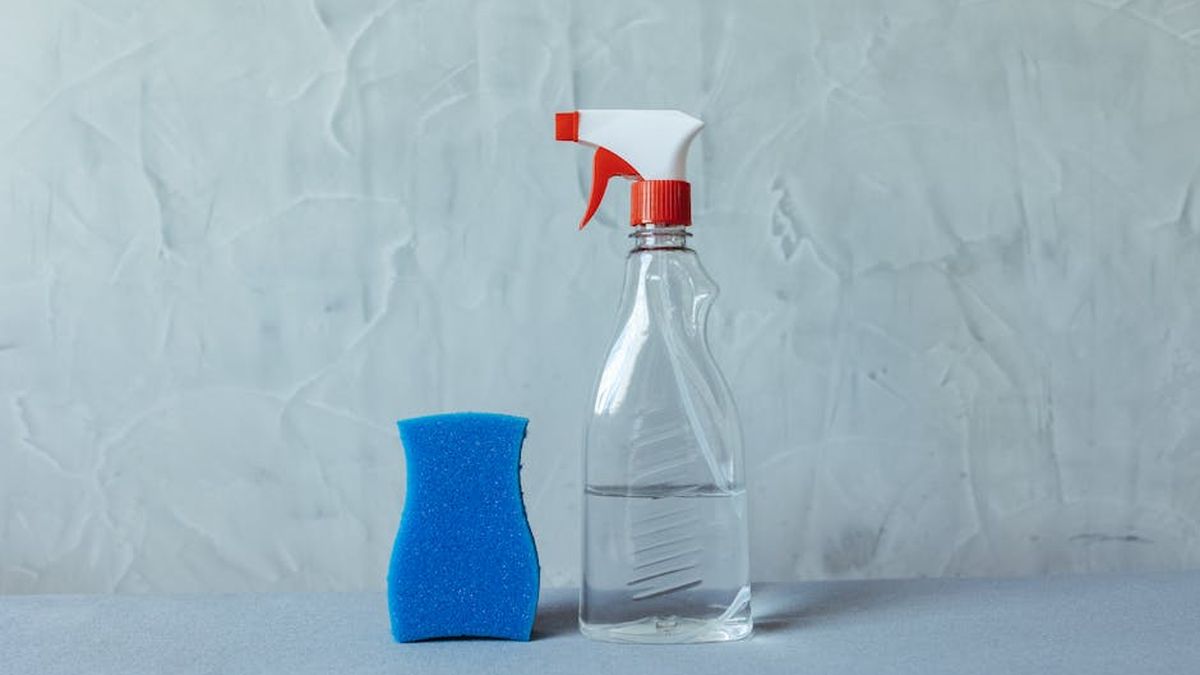 Grove Co. Compostable Sponge Review: My Experience Switching to Plastic-Free Cleaning - Product Review