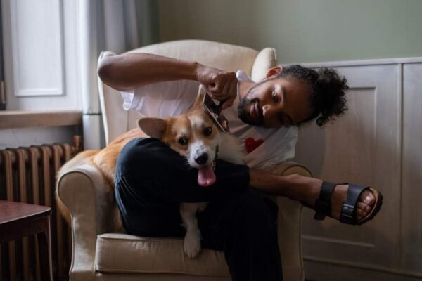 Hertzko Self-Cleaning Slicker vs. FURminator DeShedding Tool: Which Reduces Dog Shedding More Effectively for USA Pet Owners? - Product Review