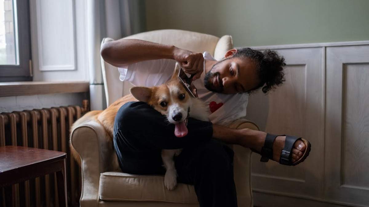 Hertzko Self-Cleaning Slicker vs. FURminator DeShedding Tool: Which Reduces Dog Shedding More Effectively for USA Pet Owners? - Product Review